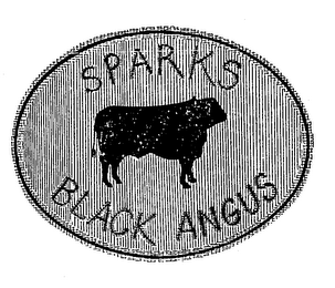 SPARKS BLACK ANGUS