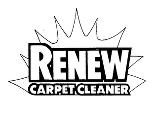 RENEW CARPET CLEANER