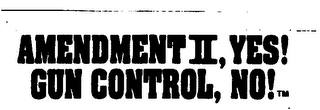 AMENDMENT II, YES! GUN CONTROL, NO!