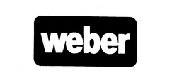 WEBER INSURANCE, CORP.