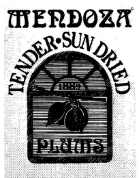 MENDOZA 1889 TENDER SUN DRIED PLUMS