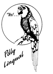 YES, POLLY LINGUAL