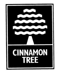 CINNAMON TREE