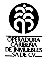 OPERADORA CARIBENA DE INMUEBLES SA DE CV