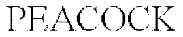 PEACOCK