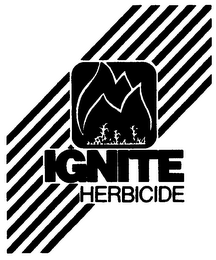 IGNITE HERBICIDE