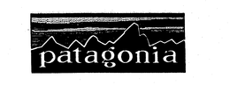 PATAGONIA, INC. logo
