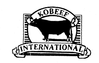 KOBEEF INTERNATIONAL