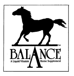 BALANCE A LIQUID VITAMIN A HORSE SUPPLEMENT