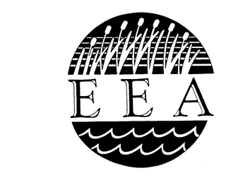 EEA