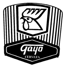 GAYO CERVEZA