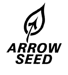 ARROW SEED