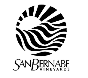 SAN BERNABE VINEYARDS