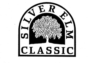 SILVER ELM CLASSIC