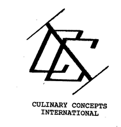 CCI CULINARY CONCEPTS INTERNATIONAL