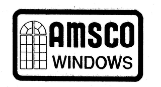 AMSCO WINDOWS