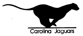 CAROLINA JAGUARS