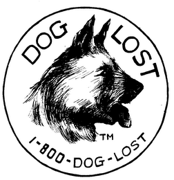 DOG LOST 1-800-DOG-LOST