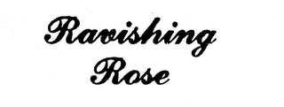 RAVISHING ROSE