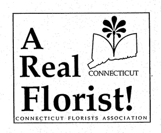 A REAL CONNECTICUT FLORISTS! CONNECTICUT FLORISTS ASSOCIATION