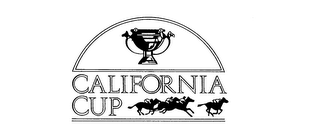 CALIFORNIA CUP