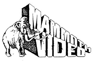 MAMMOTH VIDEO