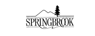 SPRINGBROOK