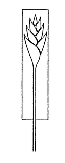 PARK INNS INTERNATIONAL, INC.