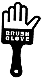 BRUSH GLOVE