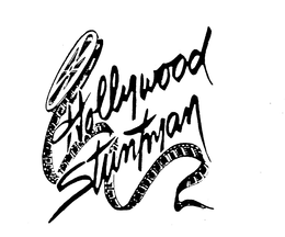 HOLLYWOOD STUNTMAN