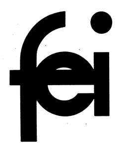 FEI COMPANY