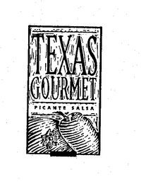 TEXAS GOURMET PICANTE SALSA