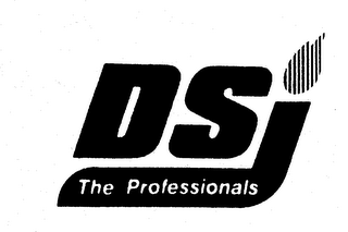 DSI THE PROFESSIONALS
