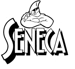 SENECA SPORTS, INC.