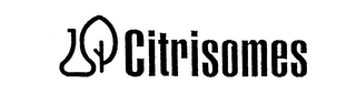 CITRISOMES