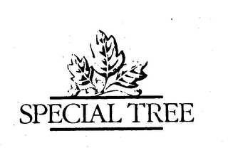 SPECIAL TREE