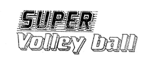 SUPER VOLLEY BALL