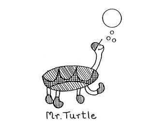 MR. TURTLE