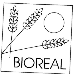 BIOREAL