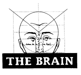 THE BRAIN