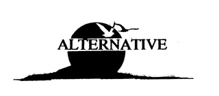 ALTERNATIVE
