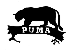 PUMA