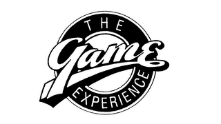 THE GAME EXPERIENCE