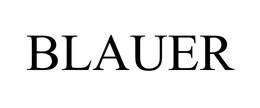 BLAUER MANUFACTURING COMPANY, INC.