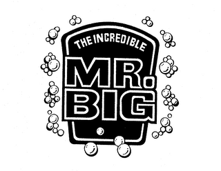 THE INCREDIBLE MR. BIG