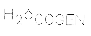 H20 COGEN