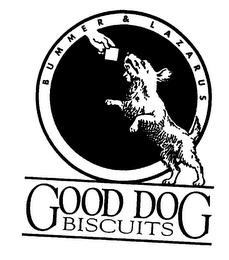 GOOD DOG BISCUITS