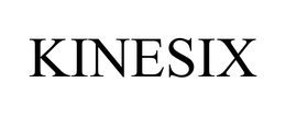 KINESIX CORPORATION
