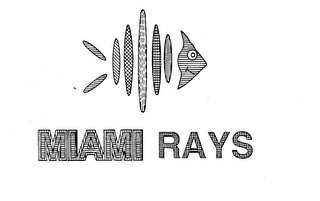 MIAMI RAYS