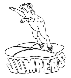 JUMPERS